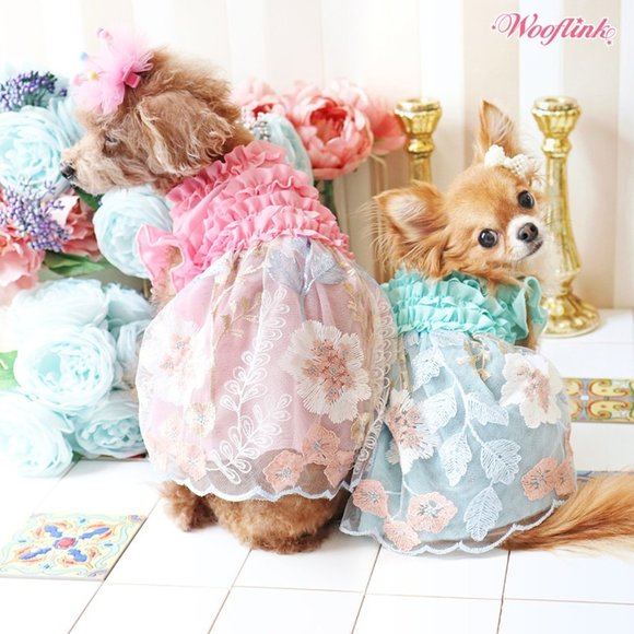 In My Paradise by Wooflink - MINT SIZE 4 - Picture 4 of 6